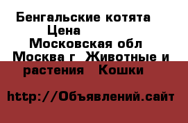 Бенгальские котята  › Цена ­ 18 000 - Московская обл., Москва г. Животные и растения » Кошки   